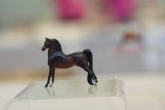 DSC00679-scaled