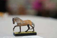 DSC00682-scaled
