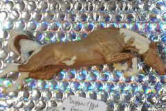DSC00691-scaled