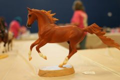 DSC00702-scaled