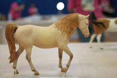 DSC00704-scaled