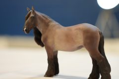 DSC00710-scaled