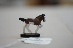 DSC00717-scaled