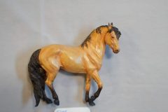 DSC00718-scaled