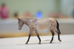 DSC00730-scaled