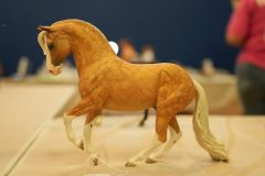 DSC00738-scaled