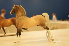 DSC00741-scaled