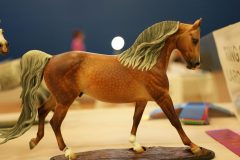 DSC00744-scaled