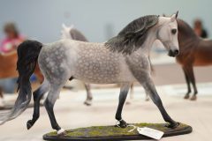 DSC00745-scaled