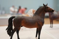DSC00747-scaled