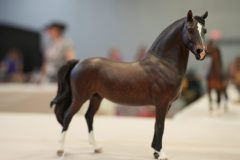 DSC00749-scaled