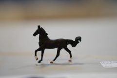 DSC00766-scaled