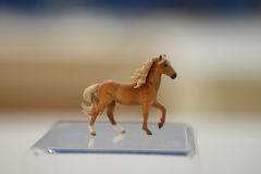 DSC00768-scaled