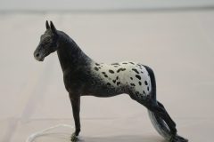 DSC00796-scaled