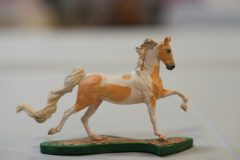 DSC00811-scaled
