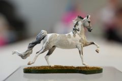 DSC00815-scaled