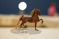 DSC00818-scaled