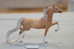 DSC00822-scaled