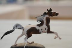 DSC00824-scaled