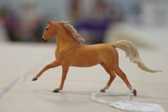 DSC00829-scaled