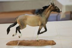 DSC00834-scaled