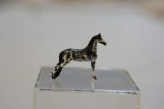 DSC00850-scaled