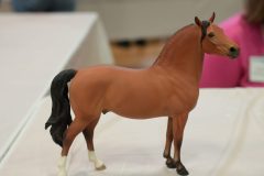 DSC00856-scaled