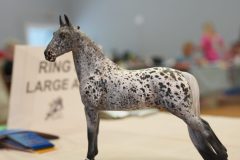 DSC00857-scaled