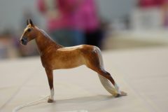 DSC00859-scaled