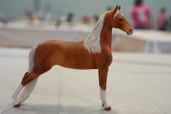 DSC00864-scaled