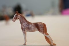 DSC00866-scaled