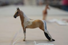 DSC00867-scaled