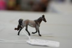 DSC00874-scaled