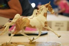DSC00879-scaled