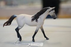 DSC00883-scaled