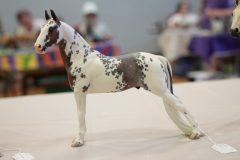 DSC00886-scaled