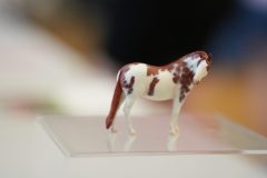 DSC00911-scaled