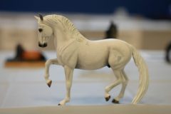 DSC00931-scaled