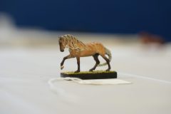 DSC00961-scaled
