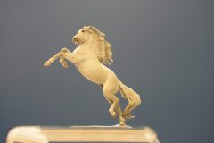 DSC00967-scaled