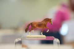 DSC00971-scaled