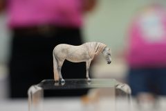 DSC00972-scaled