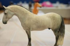 DSC00981-scaled
