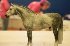 DSC00983-scaled