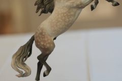 DSC00997-scaled