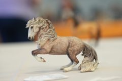 DSC01001-scaled