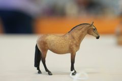 DSC01002-scaled