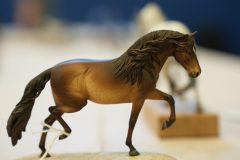DSC01004-scaled