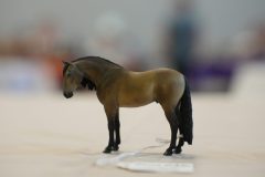 DSC01009-scaled