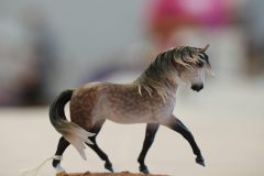 DSC01010-scaled